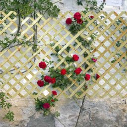 Ξύλινο Καφασωτό Medium 7x7 – 122 x 240εκ.